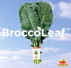 BroccoLeaf